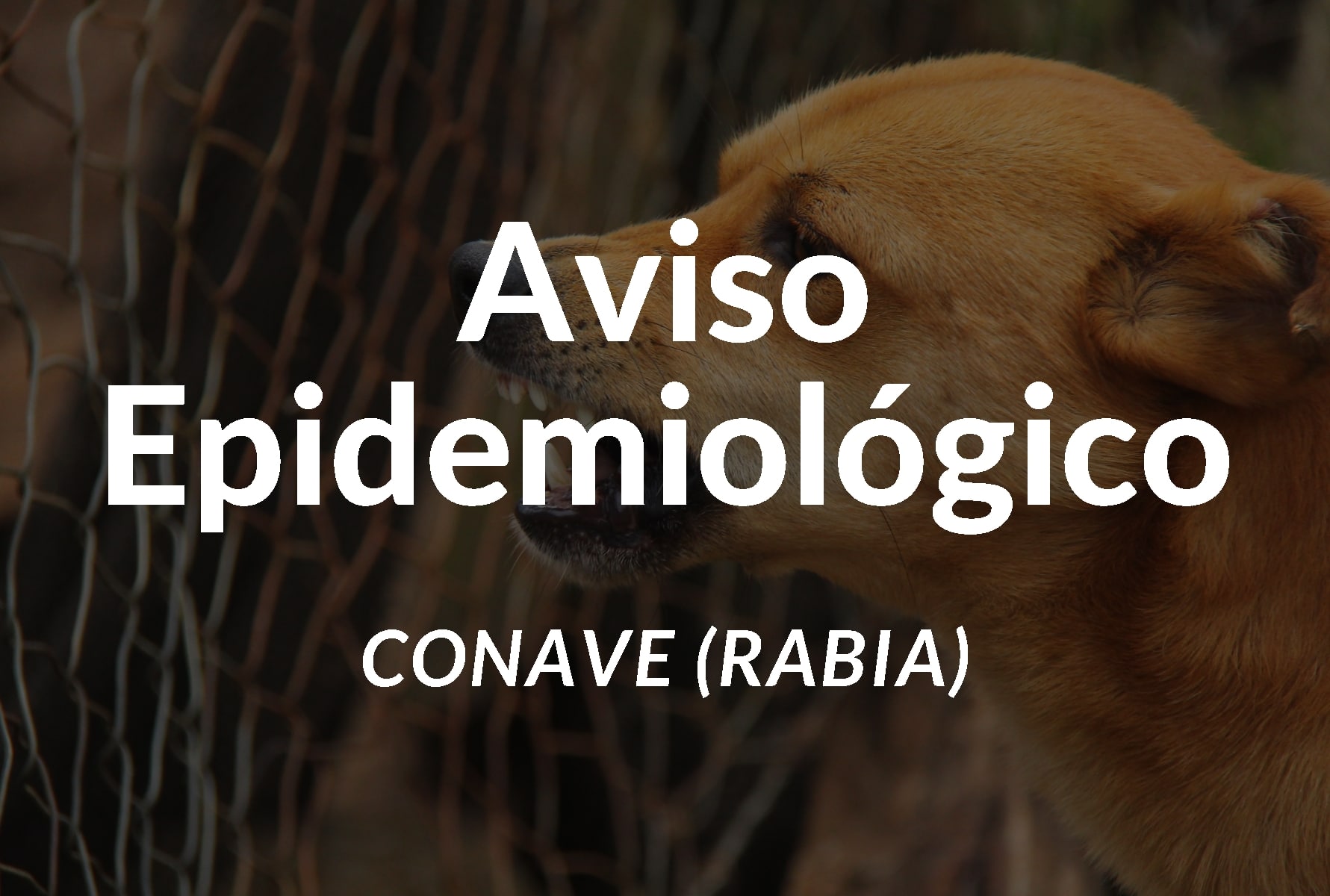 Aviso Epidemiológico CONAVE (Rabia)